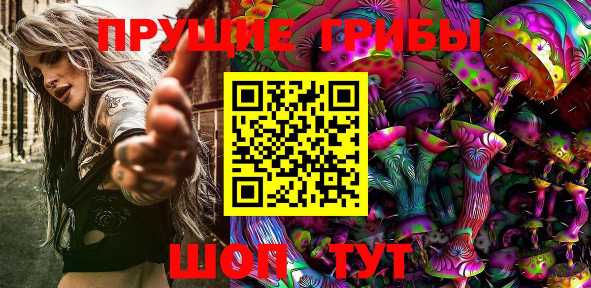 Псилоцибиновые грибы Psilocybe Фрязино