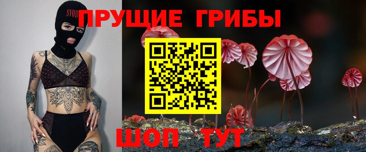 Псилоцибиновые грибы GOLDEN TEACHER  наркота  Вход с VPN  Фрязино  Галлюциногенные грибы Cubensis 