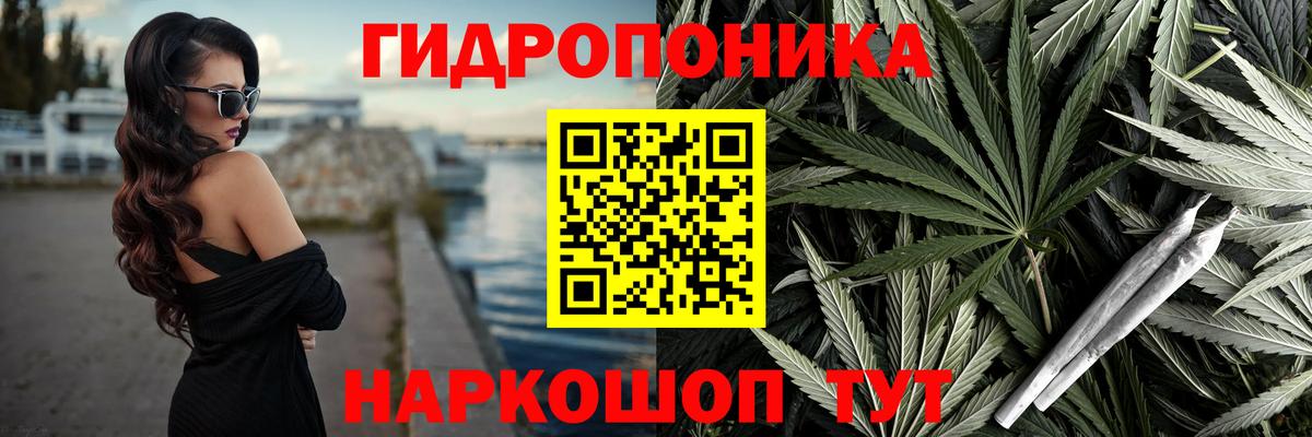 Каннабис план  Марихуана марихуана  Фрязино  Вход с VPN 